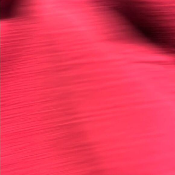 THE NORTH FACE Size Small Berry Fleece Denali Full Zip Jacket Mixed Media - Picture 7 of 10